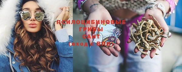 apvp Михайловск