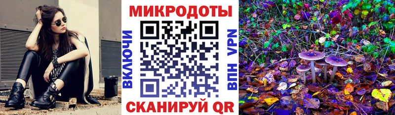 Галлюциногенные грибы Psilocybe где можно купить наркотик Цимлянск